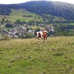 Schwarzwaldhotel تودموس