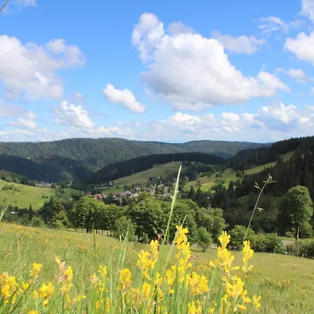 Schwarzwaldhotel Hotel *