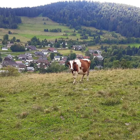 Schwarzwaldhotel Todtmoos