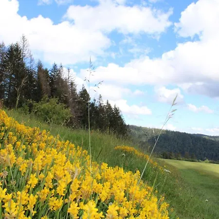 Schwarzwaldhotel * Todtmoos