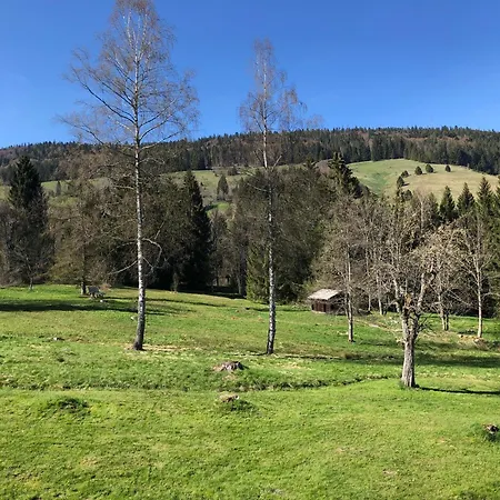 Schwarzwaldhotel Hotel *