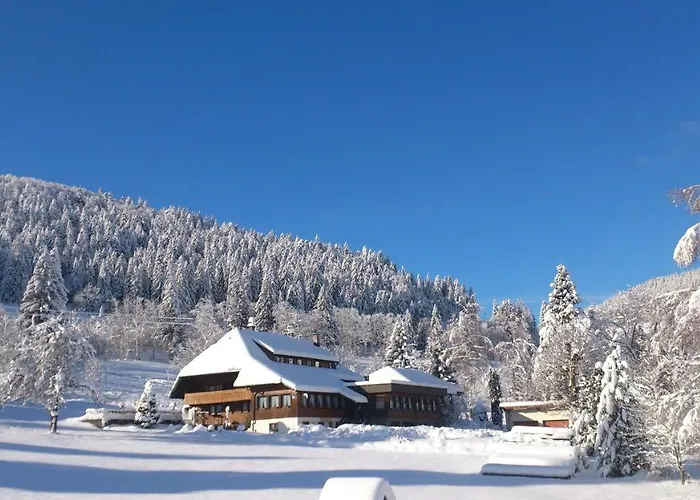 Schwarzwaldhotel
