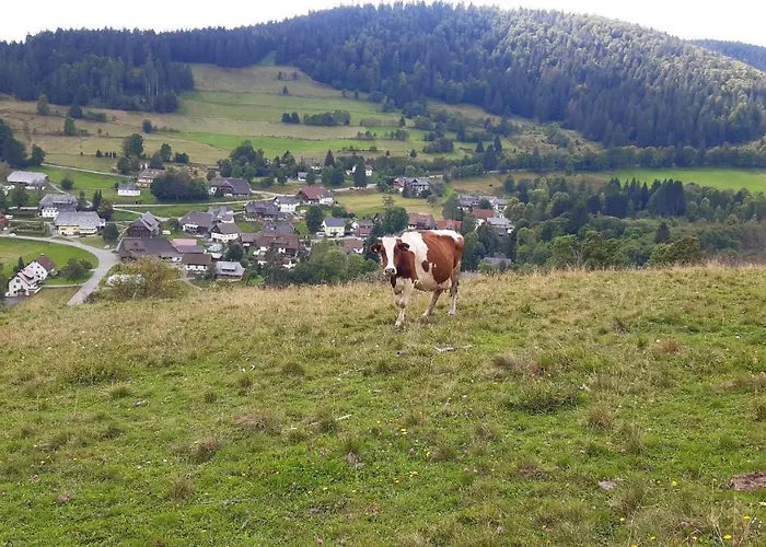 Schwarzwaldhotel Тодтмос