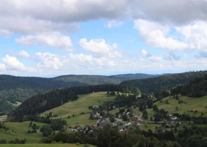 Отель Schwarzwaldhotel *