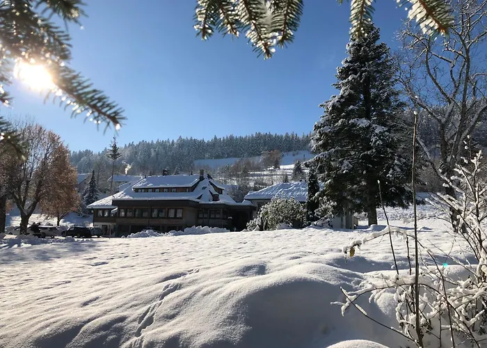 Schwarzwaldhotel *