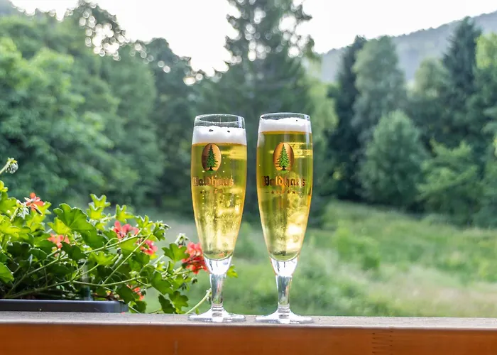 Отель Schwarzwaldhotel